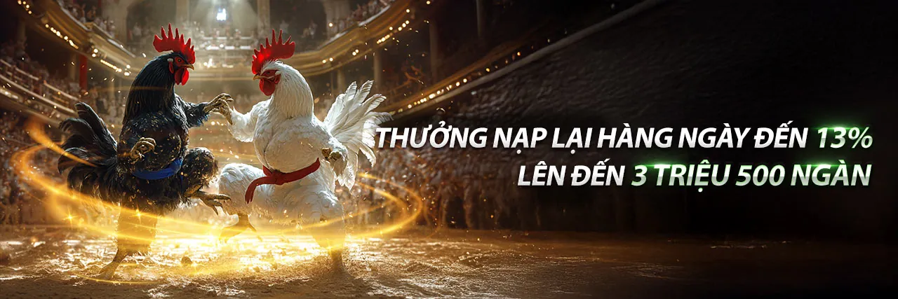 Đá Gà Trực Tuyến MCW18